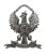 ORZEŁ PATRIOTYCZNY Z MATKĄ BOSKĄ CZĘSTOCHOWSKĄ, ZWYCIĘŻAJ 1382-1982