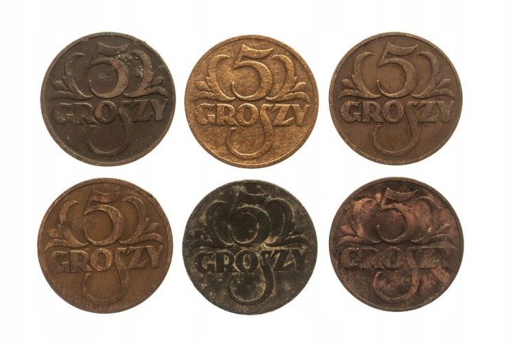 Polska, II Rzeczpospolita (1918-1939), zestaw 5 groszy 1931, 6 sztuk