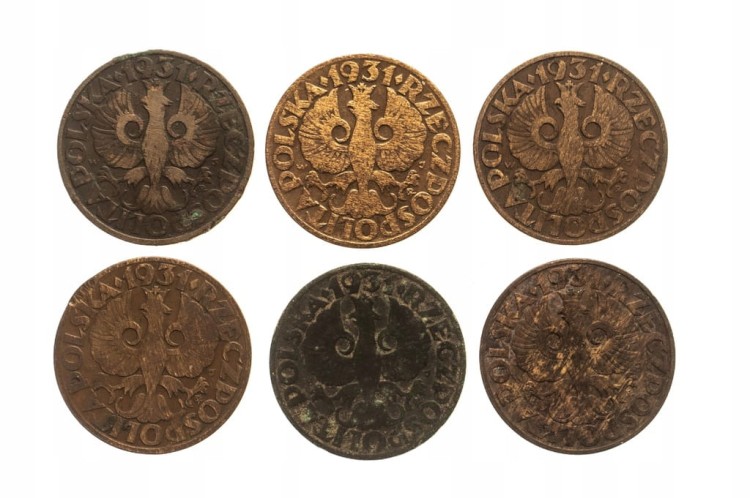 Polska, II Rzeczpospolita (1918-1939), zestaw 5 groszy 1931, 6 sztuk
