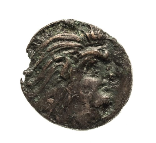 Grecja,Tracja/Chersonez, Pantikapajon, AE21 (345-310 p.n.e.) -szeroka głowa