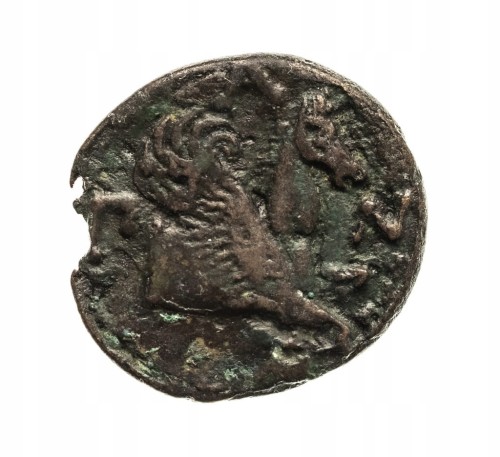 Grecja,Tracja/Chersonez, Pantikapajon, AE21 (345-310 p.n.e.) -szeroka głowa