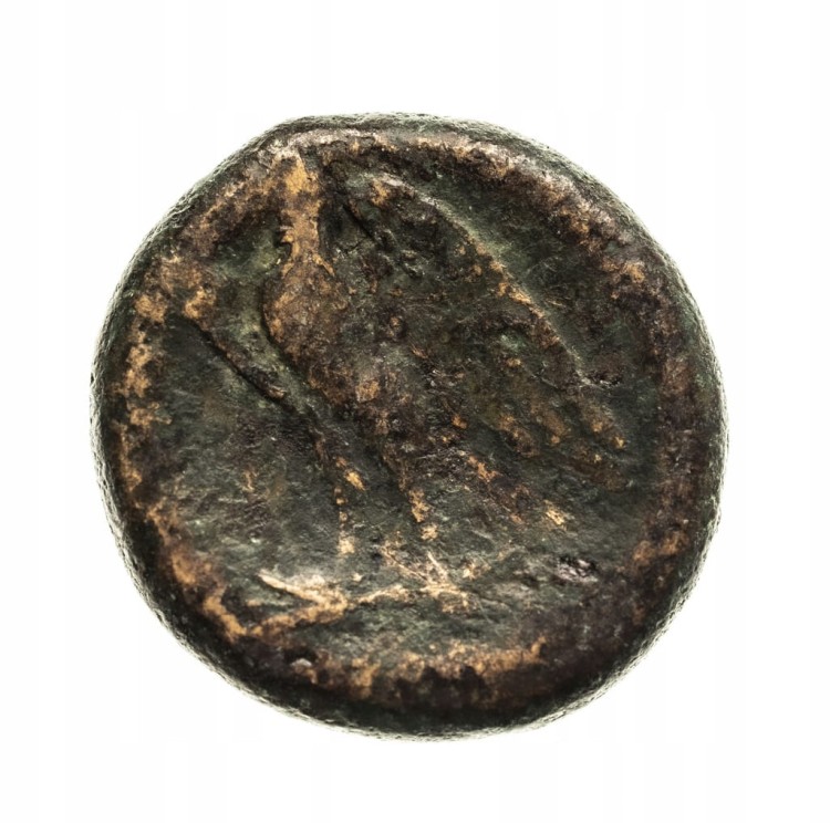Grecja, Sycylia, Syrakuzy, Hiketas II, litra, ok. 287-278 przed Chr. ?