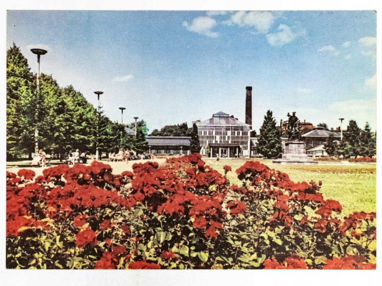 POZNAŃ - PARK IM. MARCINA KASPRZAKA Z PALMIARNIĄ W TLE LATA 60. / 70. PRL