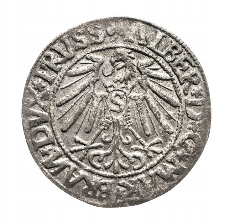 Prusy Książęce, Albert Hohenzollern, grosz 1545, Królewiec