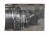 STARA FOTOGRAFIA - DZIECI PRZY SAMOCHODZIE l. 50/60