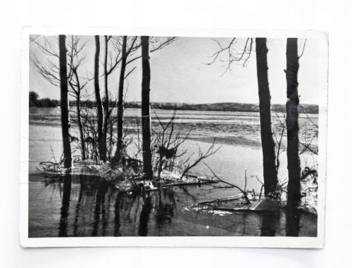 ŁOMŻA - NAREW WIOSNĄ 1961