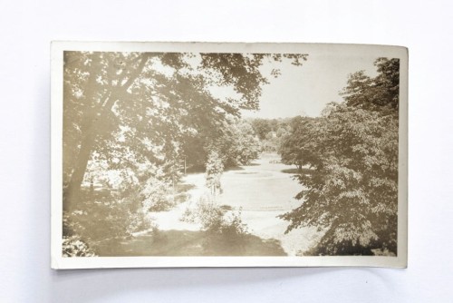 KOSZALIN - PARK MIEJSKI l. 50
