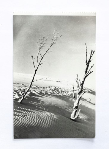 ŁEBA - WYDMY 1970