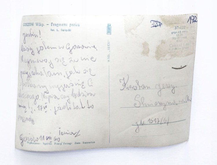 GORZÓW WIELKOPOLSKI - FRAGMENT PARKU 1960