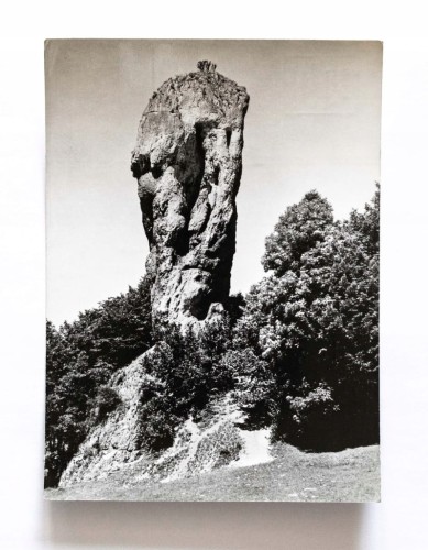 OJCOWSKI PARK NARODOWY - MACZUGA HERKULESA W PIESKOWEJ SKALE l. 60