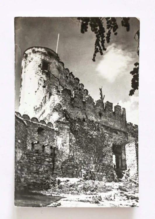 KARKONOSZE - ZAMEK CHOJNIK l. 60