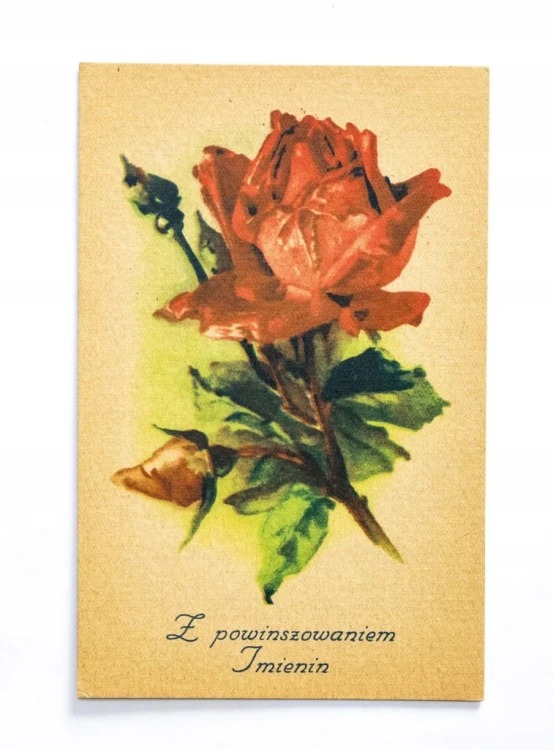 STARA POCZTÓWKA IMIENINOWA - KWIAT RÓŻY l. 40/50