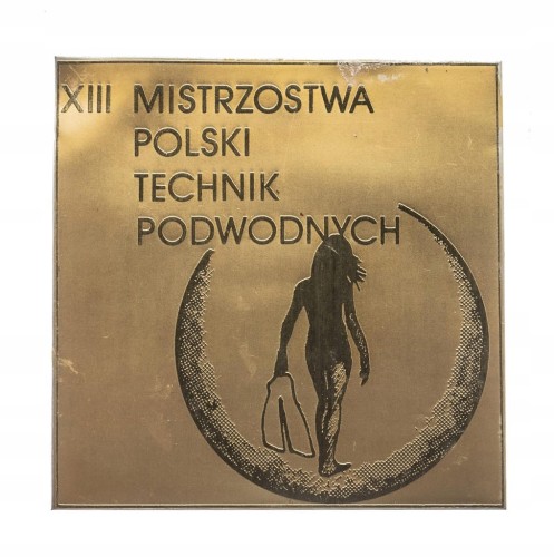 PLAKIETA XIII MISTRZOSTWA POLSKI PŁYWANIA