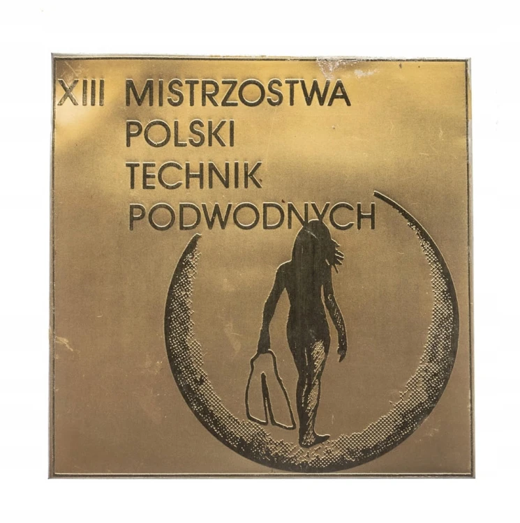 PLAKIETA XIII MISTRZOSTWA POLSKI PŁYWANIA