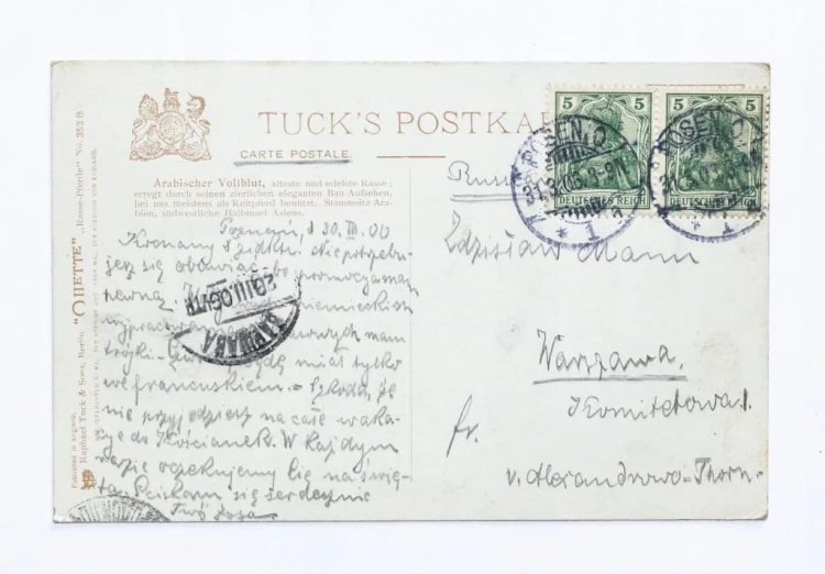 STARA POCZTÓWKA - KOŃ, POZNAŃ / WARSZAWA 1906