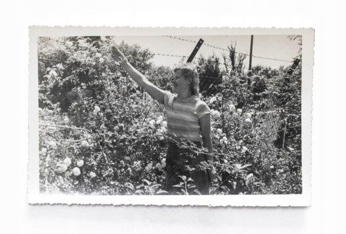 STARA FOTOGRAFIA - KOBIETA W OGRODZIE l. 40 XX WIEKU