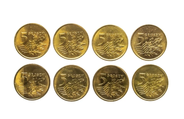 Polska, Rzeczpospolita od 1989 roku, zestaw 8 monet 5 groszy 1991-2009