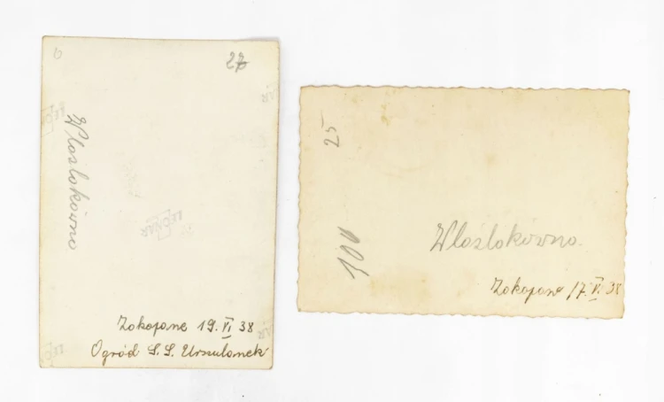 ZESTAW STARYCH FOTOGRAFII - WYCIECZKA SZKOLNA, ZAKOPANE 1938