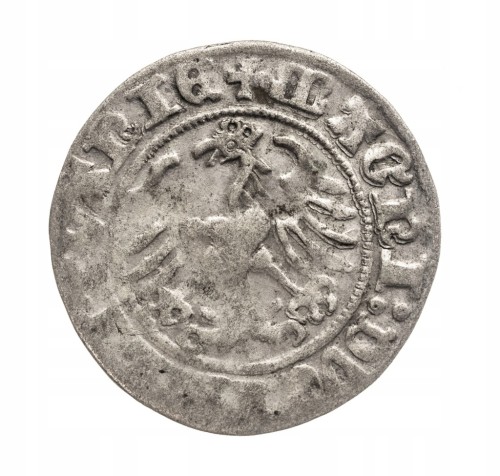 Polska, Zygmunt I Stary, półgrosz litewski 1510, Wilno