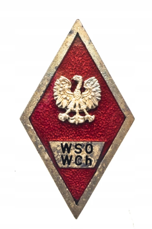 Odznaka Wyższa Szkoła Oficerska Wojsk Chemicznych