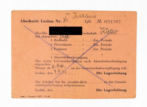 NIEMCY III RZESZA, KARTA PODRÓŻNA I ŻYWNOŚCIOWA, WŁOCŁAWEK / SOKOŁOWO 1944