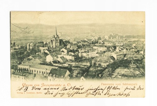 NIEMCY, BAD FREIENWALDE ODER - KOŚCIÓŁ ŚW. MIKOŁAJA, PANORAMA MIASTA 1903