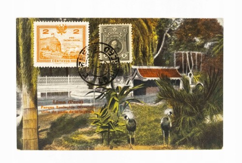 PERU, LIMA - OGRÓD ZOOLOGICZNY 1927