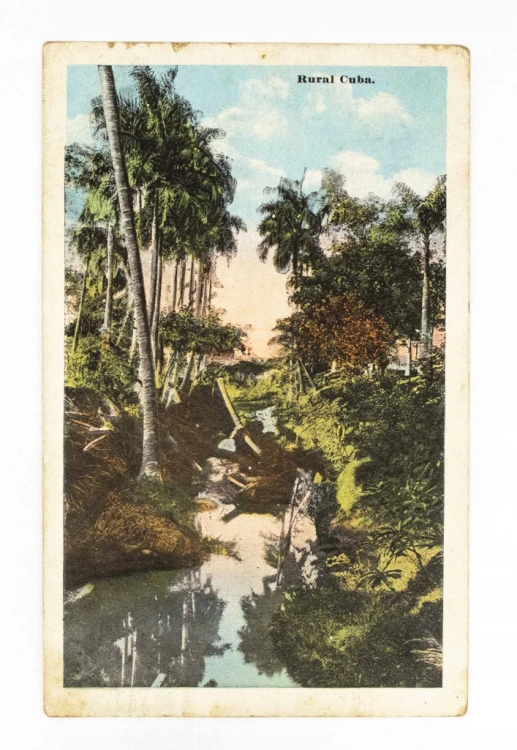 KUBA, HAWANA - KRAJOBRAZ Z ROŚLINNOŚCIĄ 1925