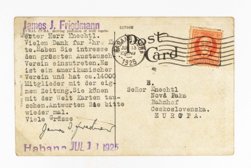 KUBA, HAWANA - KRAJOBRAZ Z ROŚLINNOŚCIĄ 1925
