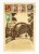 HISZPANIA, MADRYT - ALEJA W OGRODZIE ZOOLOGICZNYM 1932