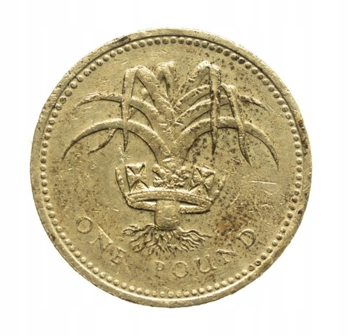 Wielka Brytania, Elżbieta II, 1 funt por 1990 rok.