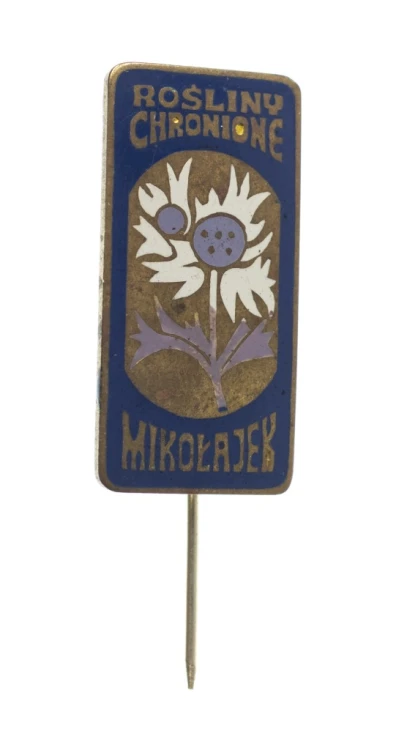 ODZNAKA ROŚLINY CHRONIONE MIKOŁAJEK