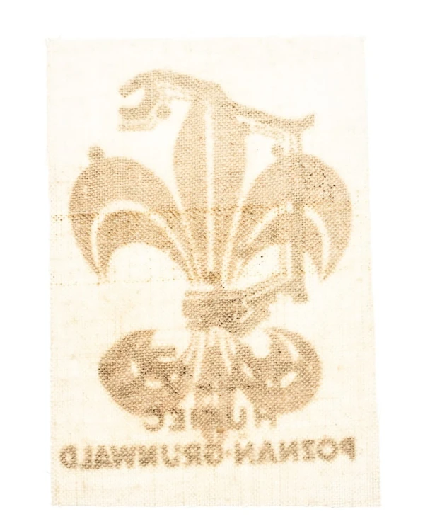 NASZYWKA HARCERSKA - HUFIEC POZNAŃ GRUNWALD, HAL 1970