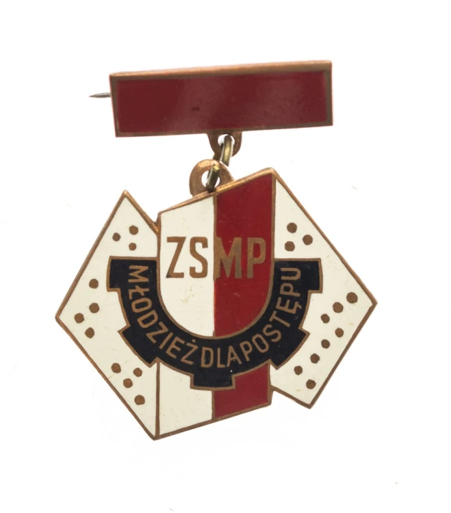 ODZNAKA ZSMP, MŁODZIEŻ DLA POSTĘPU
