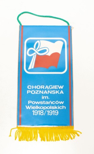 PROPORCZYK ZHP, CHORĄGIEW POZNAŃSKA IM POWSTAŃCÓW WIELKOPOLSKICH