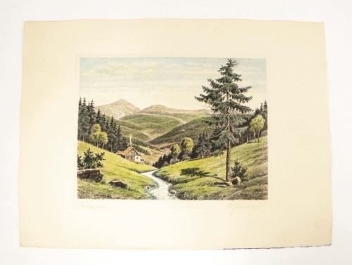 STARA GRAFIKA, AKWAFORTA KARKONOSZE, PANORAMA GÓR, BOROWICE