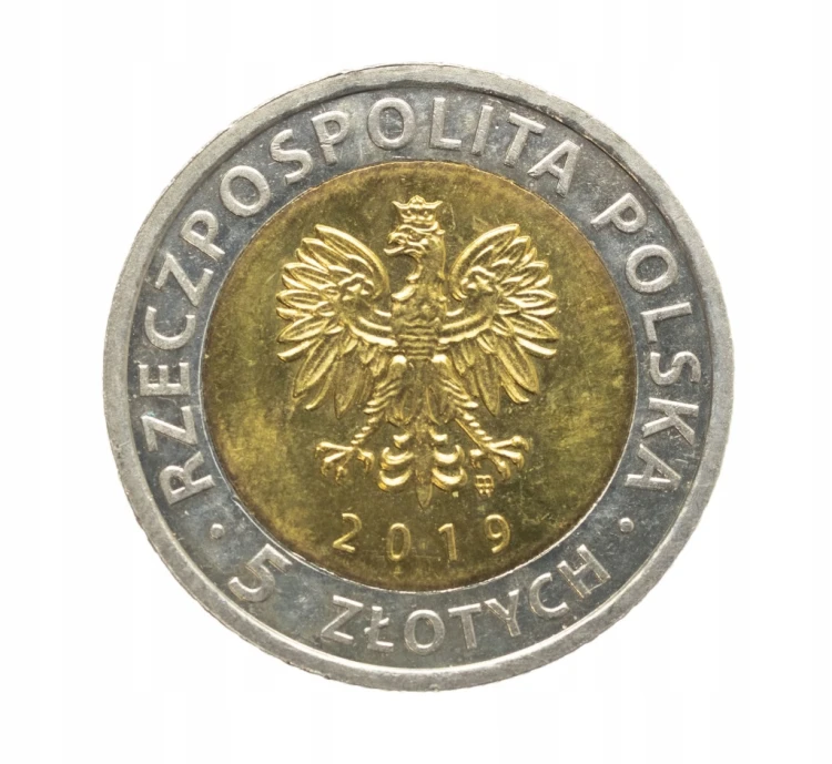 5 ZŁOTYCH 2019 - KOPIEC WYZWOLENIA stan 1
