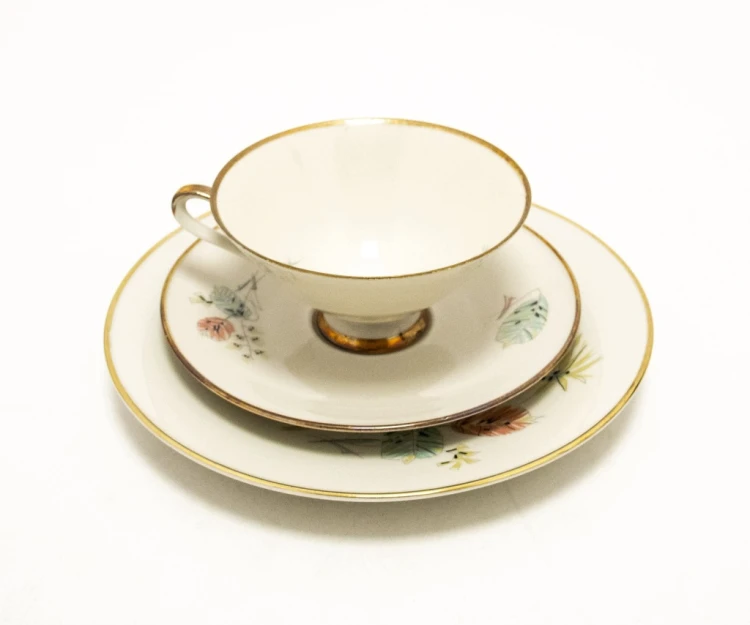 STARY ZESTAW PORCELANOWY TRIO Z&CO TIRSCHENREUTH BAWARIA
