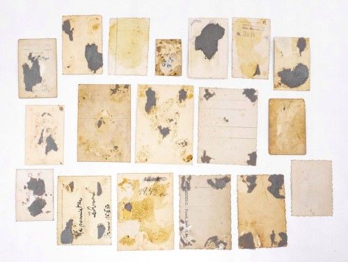 ZESTAW STARYCH FOTOGRAFII PORTRETOWYCH, POZNAŃ I OKOLICE l. 10-60 XX w.