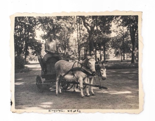 STARA FOTOGRAFIA - BRYCZKA Z OSIOŁKAMI, POZNAŃ l. 30 (Foto Pawlak)