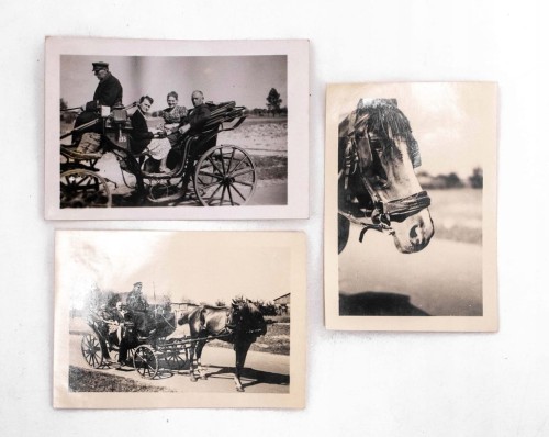 ZESTAW STARYCH FOTOGRAFII - BRYCZKA, KOŃ, WARSZAWA OKOLICE II RP