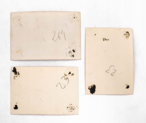 ZESTAW STARYCH FOTOGRAFII - BRYCZKA, KOŃ, WARSZAWA OKOLICE II RP