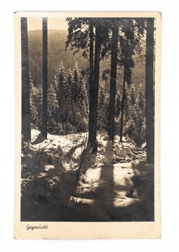 KARKONOSZE - LAS, GÓRY 1943