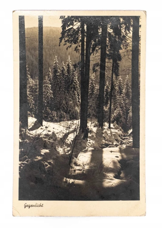 KARKONOSZE - LAS, GÓRY 1943