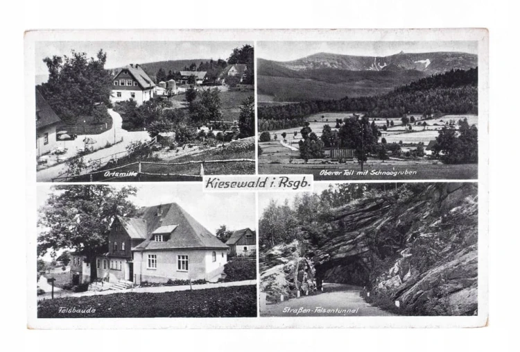 MICHAŁOWICE / PIECHOWICE - MIASTO II RP, DR. HARCERSKA PUSTOWÓJTÓWNY POZNAŃ