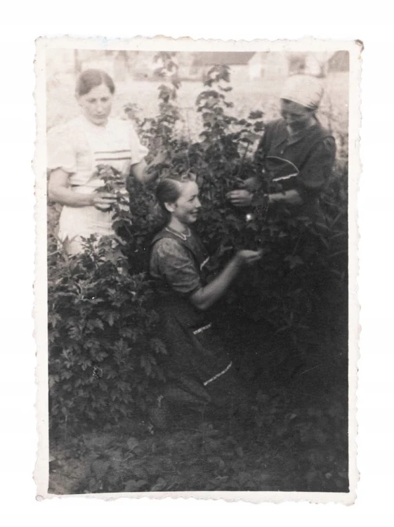 STARA FOTOGRAFIA - KOBIETY W OGRODZIE, ANTON SOBAŃSKI, GRZEBIENISKO l. 40