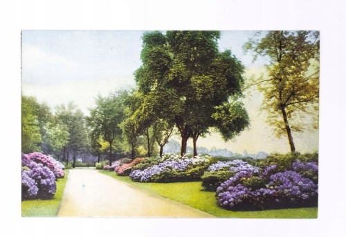 STARA POCZTÓWKA - PARK l. 30/40