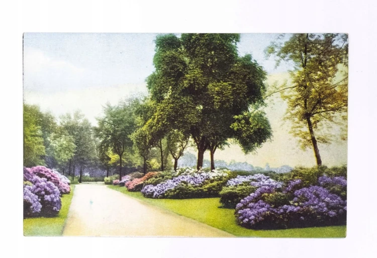 STARA POCZTÓWKA - PARK l. 30/40