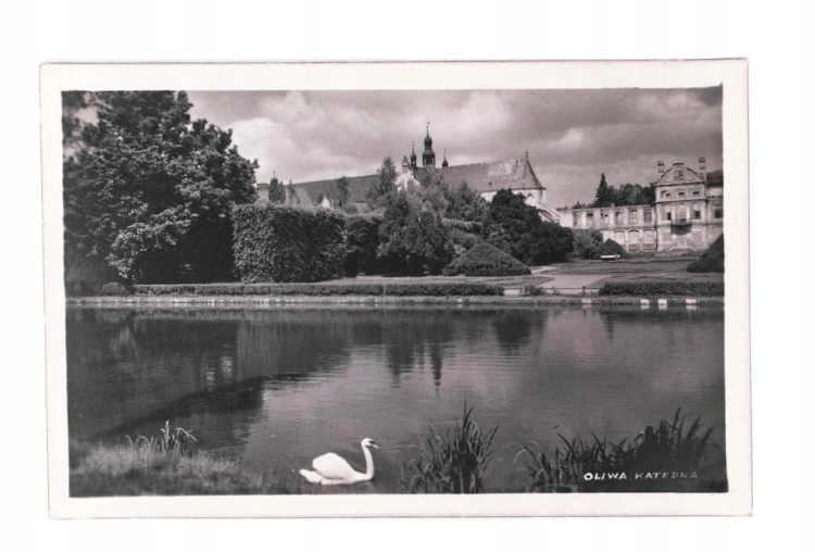 GDAŃSK, OLIWA - STAW, KATEDRA l. 50