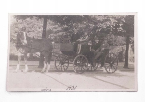 STARA FOTOGRAFIA - ZDJĘCIE RODZINNE W BRYCZCE, ZIELONE 1931